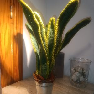 planta "lengua de suegra"