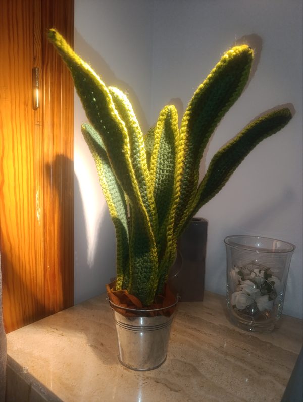 planta "lengua de suegra"